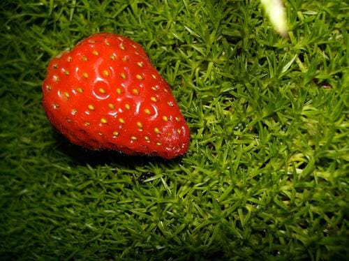 The Law of Medical Negligence in England and Germany: A Comparative Analysis