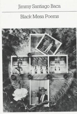 Black Mesa poems