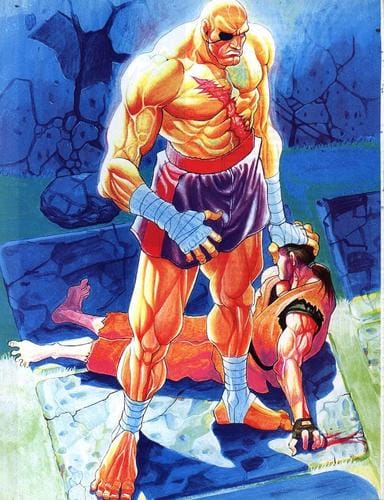 Street Fighter Storyteller's Screen (Street Fighter)