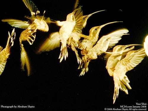 tutorial guide to Lotus 123: an introduction to problem solving with spreadsheets.