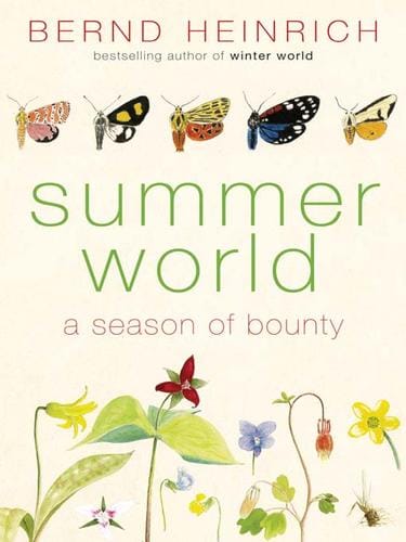 Summer World
