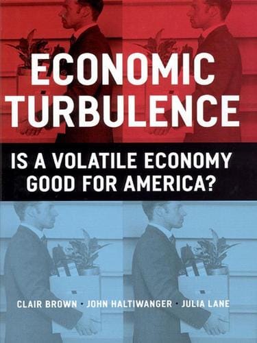Economic Turbulence