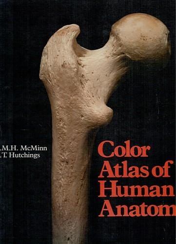 Color atlas of human anatomy