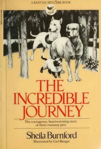 The incredible journey