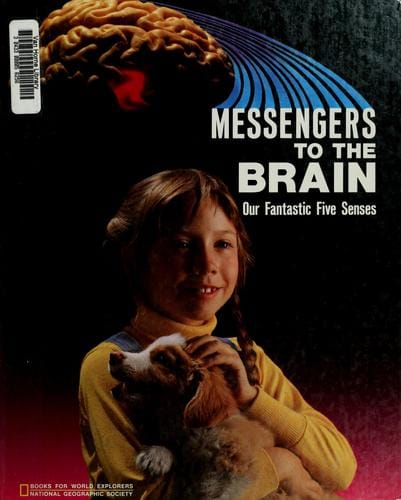 Messengers to the brain: our fantastic five senses