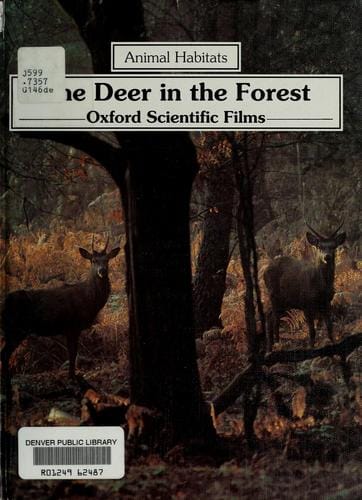 The deer in the forest