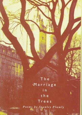 The marriage in the trees