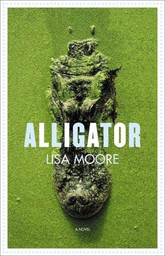 Alligator