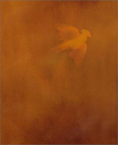Adam Fuss