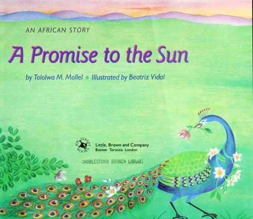 A promise to the sun: an African story