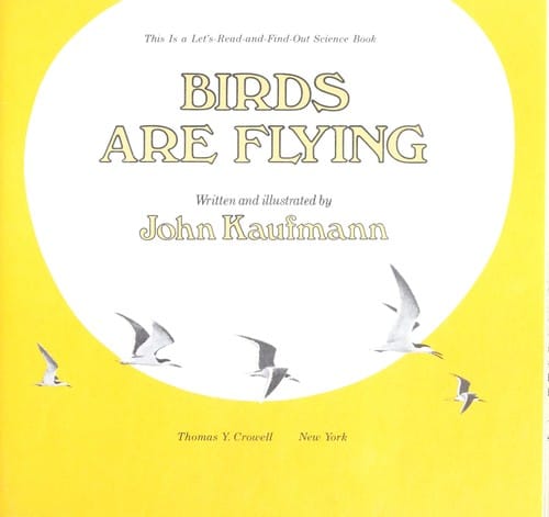 Birds are flying