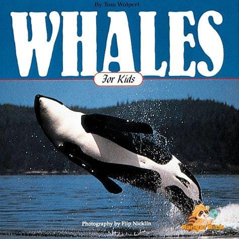 Whales for kids