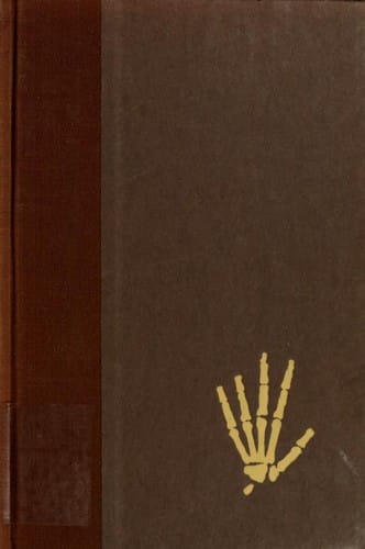 Lucy: the beginnings of humankind