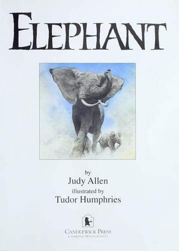 Elephant