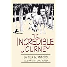 Incredible Journey