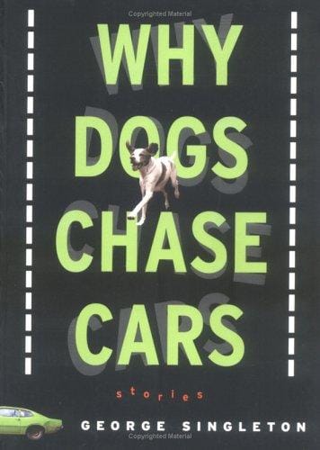 Why dogs chase cars: tales of a beleaguered boyhood