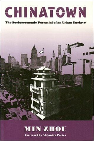 Chinatown: The Socioeconomic Potential of an Urban Enclave (Conflicts in Urban and Regional Development)