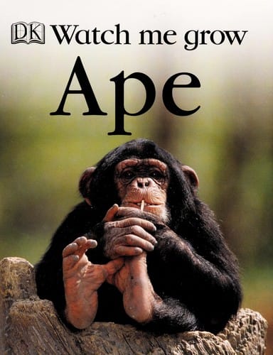 Ape