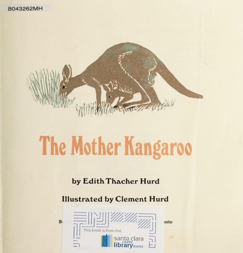 The mother kangaroo