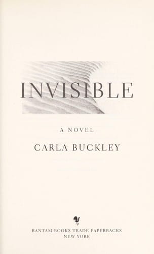 Invisible: a novel