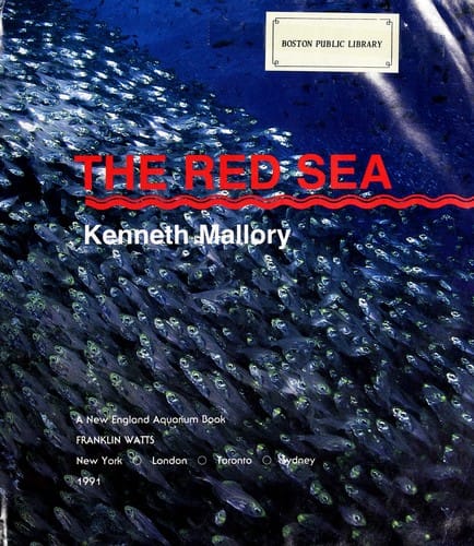 The Red Sea