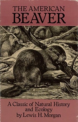 The American beaver: a classic of natural history and ecology