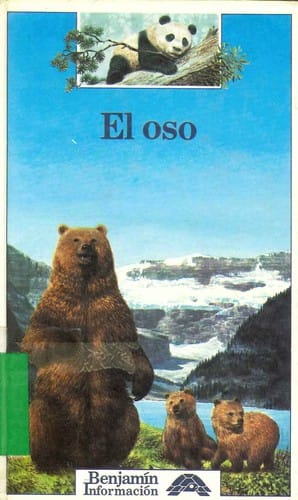 El oso