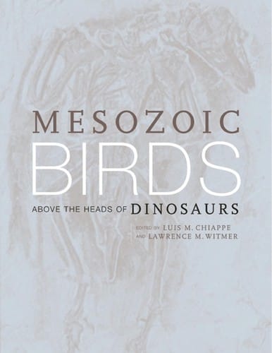 Mesozoic birds: above the heads of dinosaurs