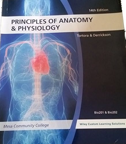 Principles of Anatomy & Physiology