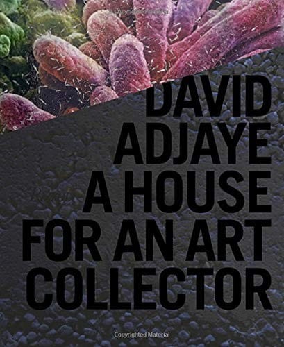 David Adjaye: A House for an Art Collector