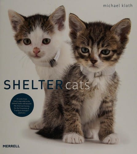Shelter cats