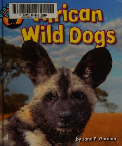 African wild dogs