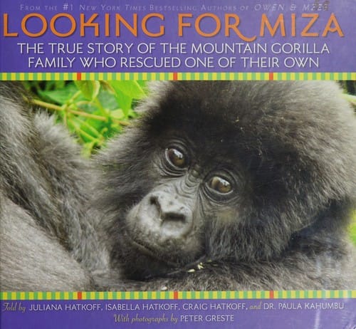 Looking for Miza: the true story of the mountain gorilla family who rescued one of their own