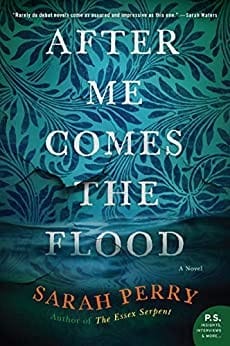 After me comes the flood : a novel