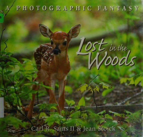 Lost in the woods: a photographic fantasy
