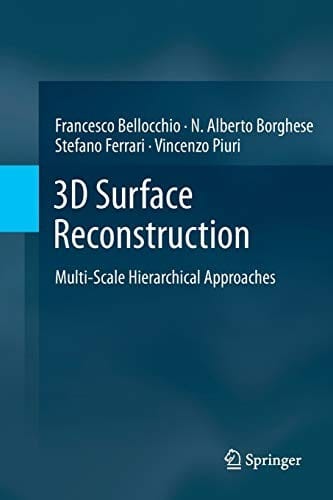 3D Surface Reconstruction: Multi-Scale Hierarchical Approaches