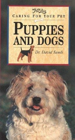 Caring for Your Pet Puppy and Dog
