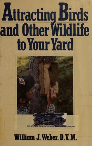 Attracting birds and other wildlife to your yard