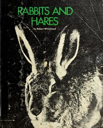 Rabbits and hares