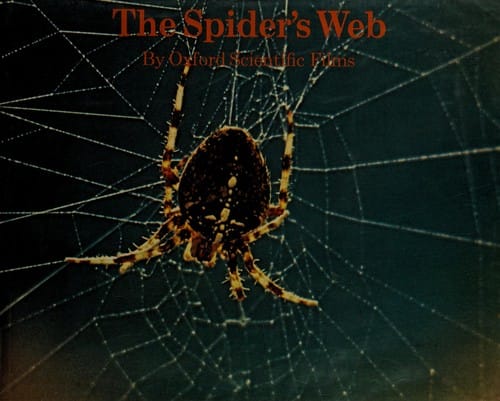 The spider's web
