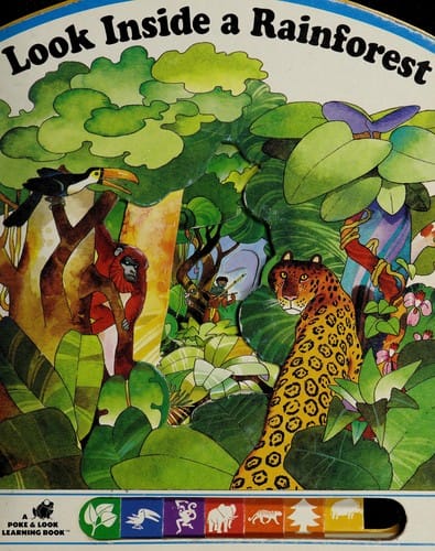 Look inside a rainforest