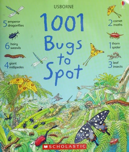 1001 bugs to spot