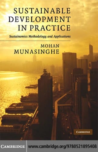 Sustainable development in practice: sustainomics methodology and applications
