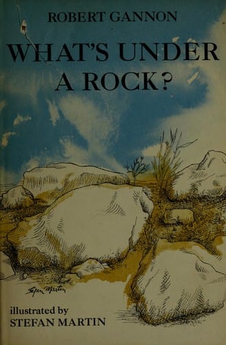 What's under a rock?