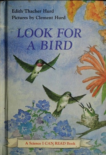 Look for a bird