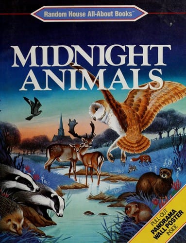Midnight animals
