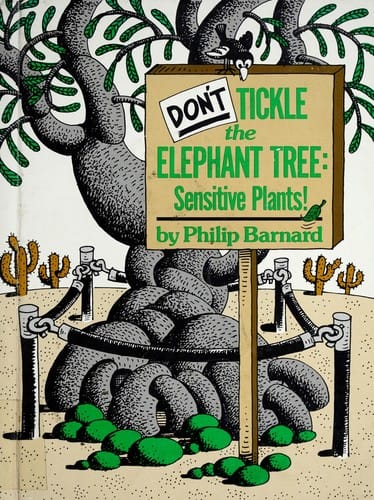 Don't tickle the elephant tree: sensitive plants