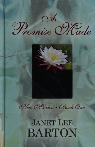 A promise made: heartbreak of the past draws a couple together in this historical novel