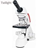 The Shell Seekers; Flowers In The Rain; And Other Stories