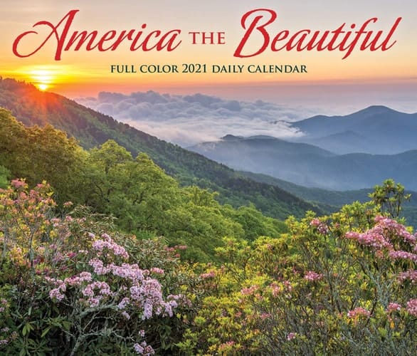 Poster: Asterix Calling All